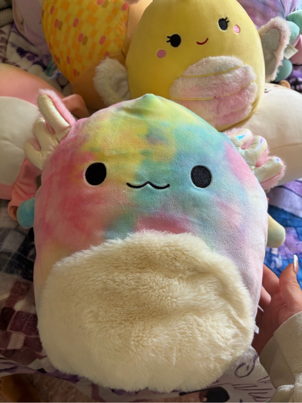 Medium sized axolotl Squishmallow